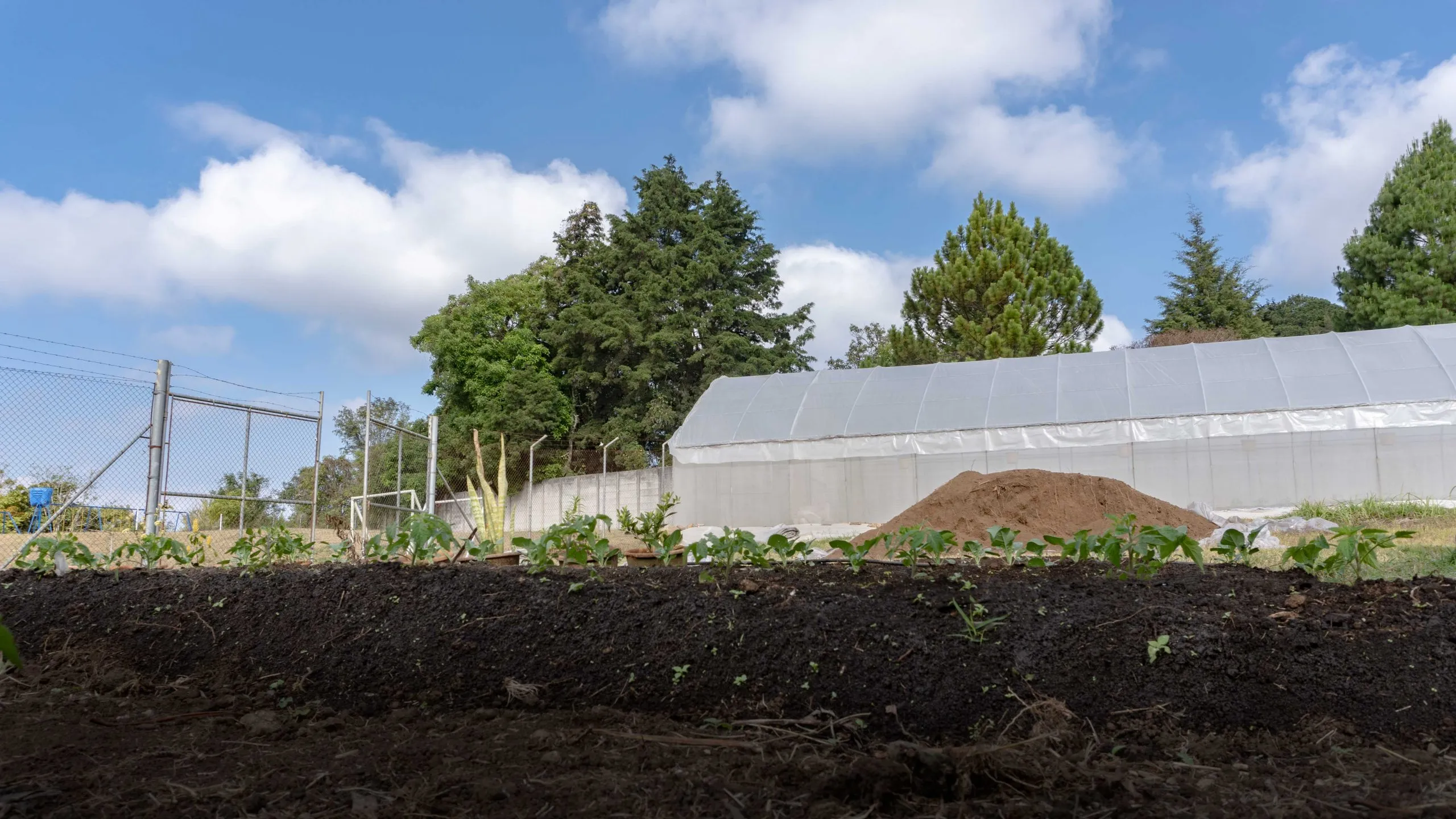 Greenhouse